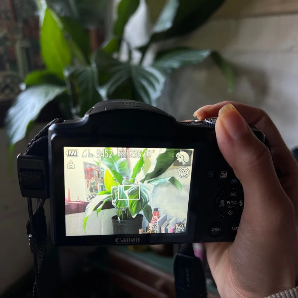Canon Black Digital Camera